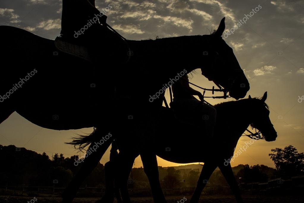 Verschiedene Logo-Entwürfe mit Cowboy- und Sternmotiven